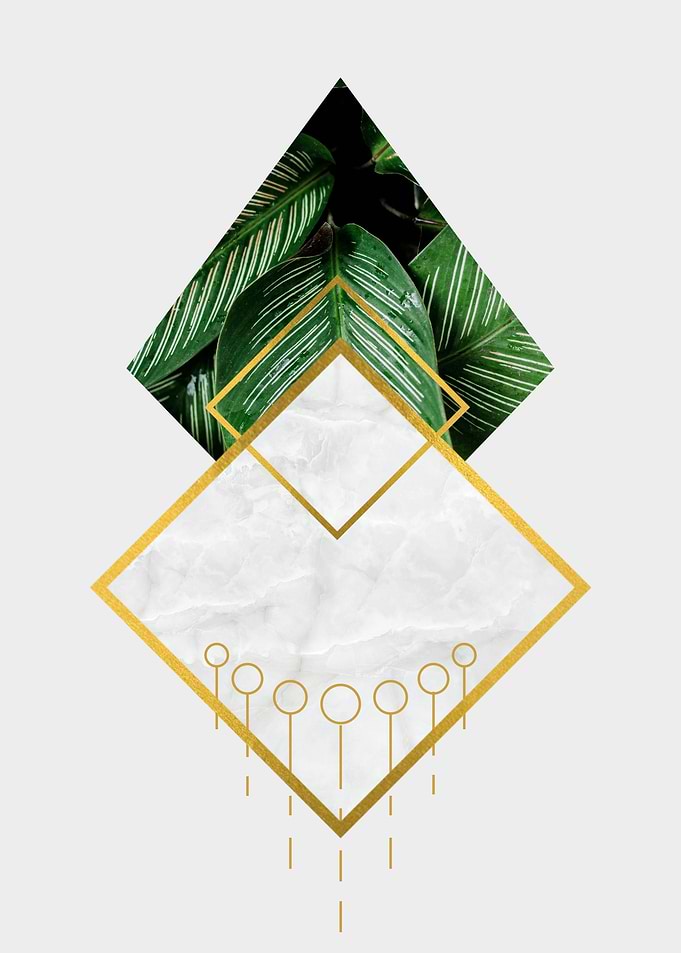 Nature geometrique feuille
