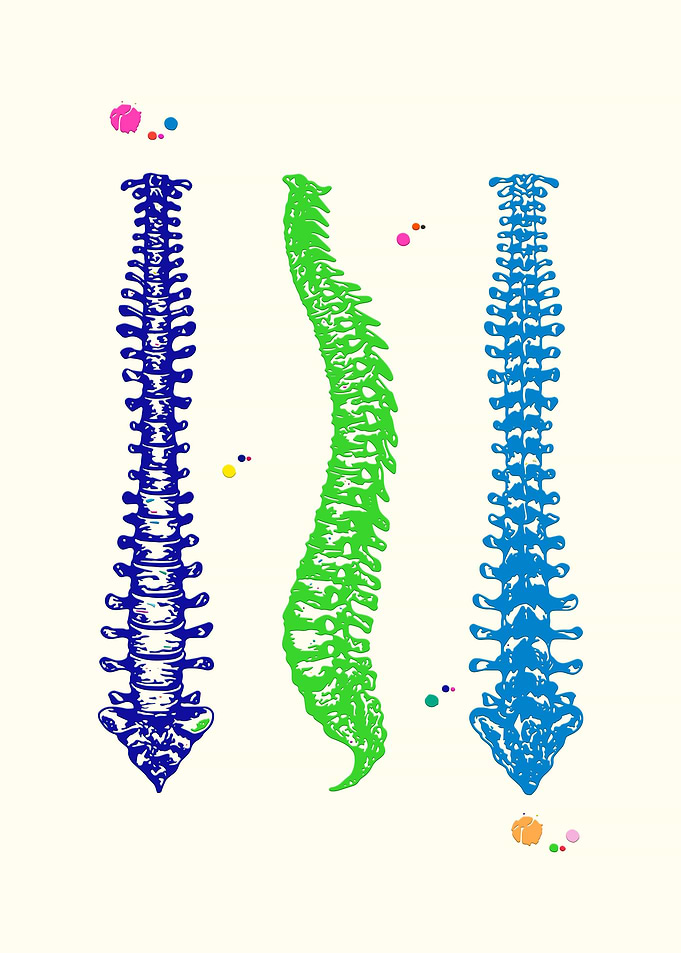 Human Spine