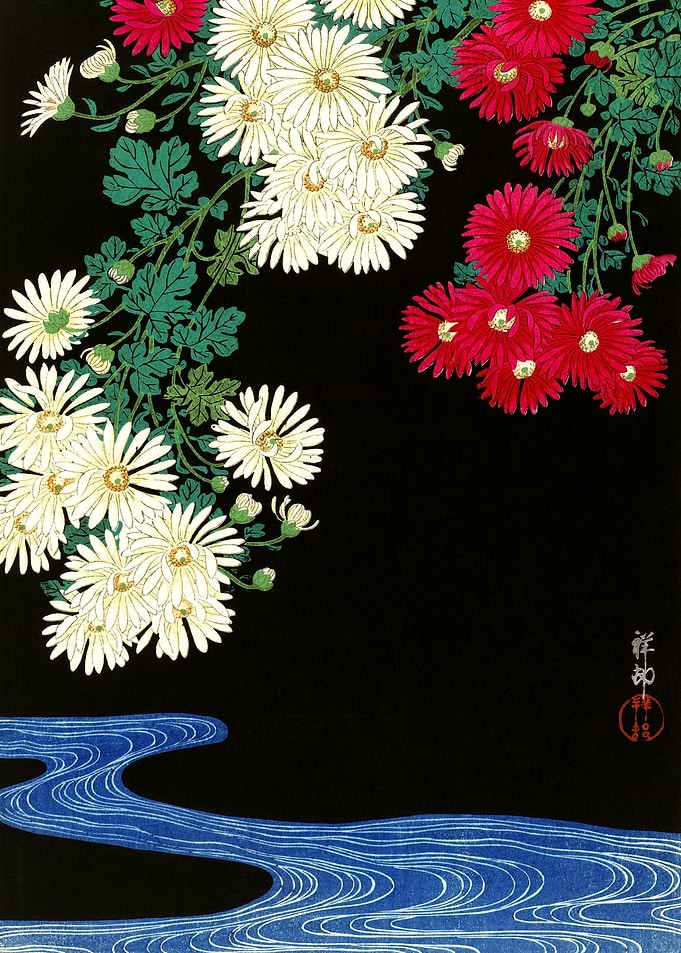 Chrysanthemums Ohara Print