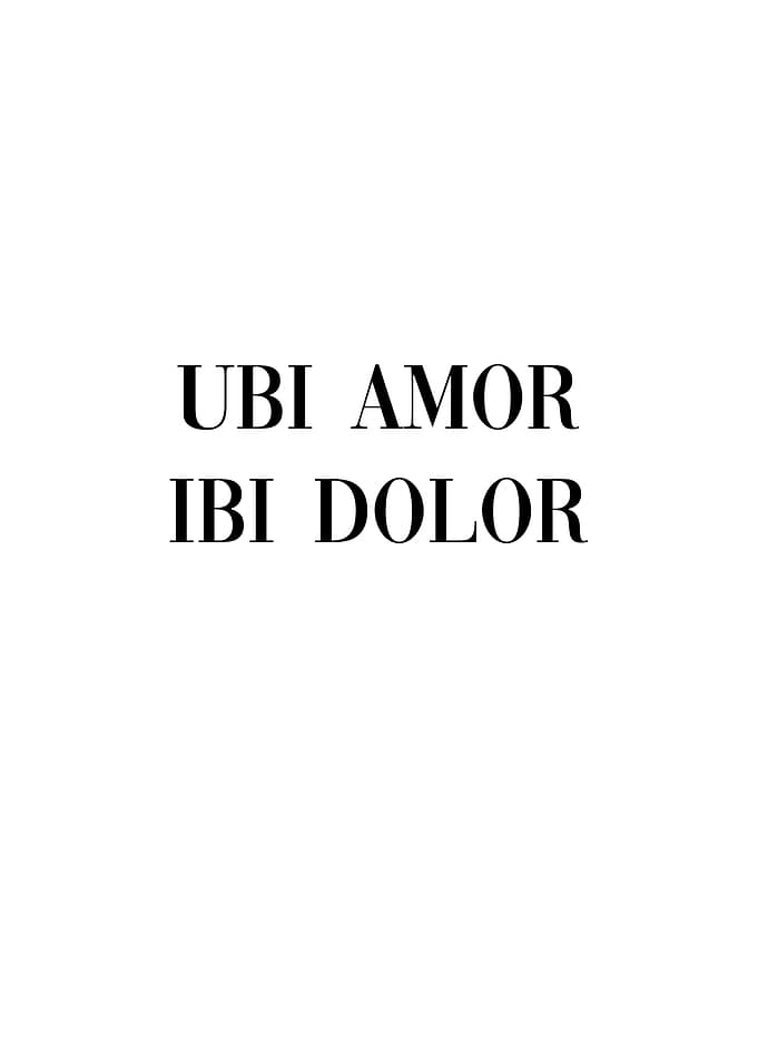 Latin Quote Love Pain