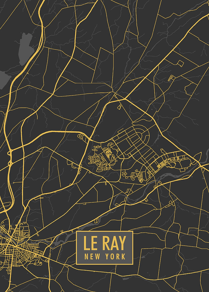 Le Ray Ny