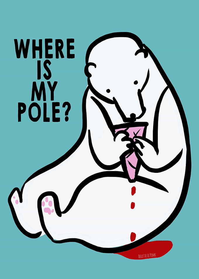 Where is my pole