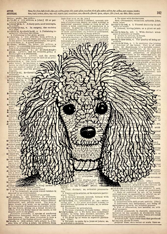 Poodle Dog ILLUSTRATION