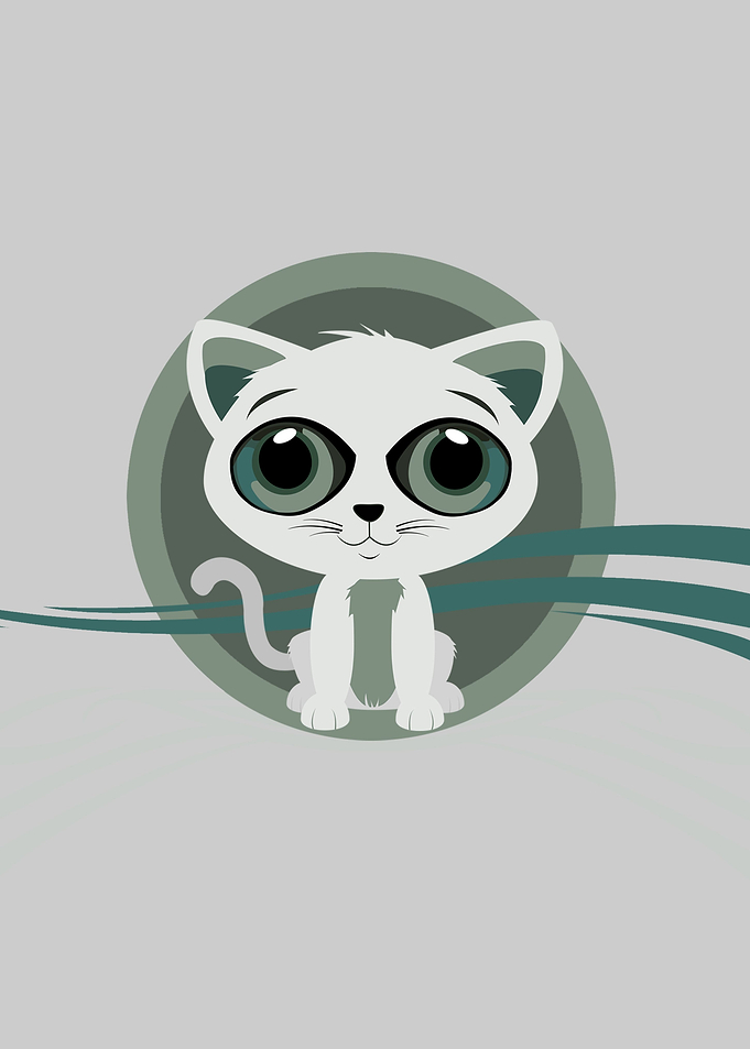 Kitten