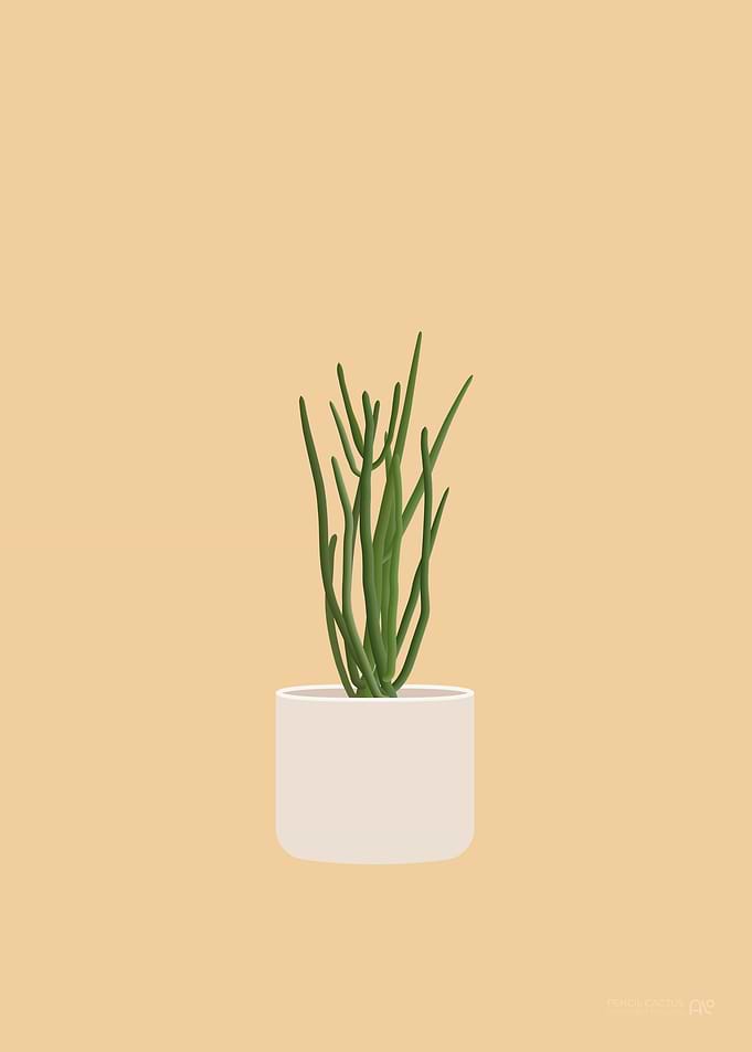Pencil Cactus Illustration