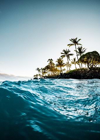 Surfing Paradise