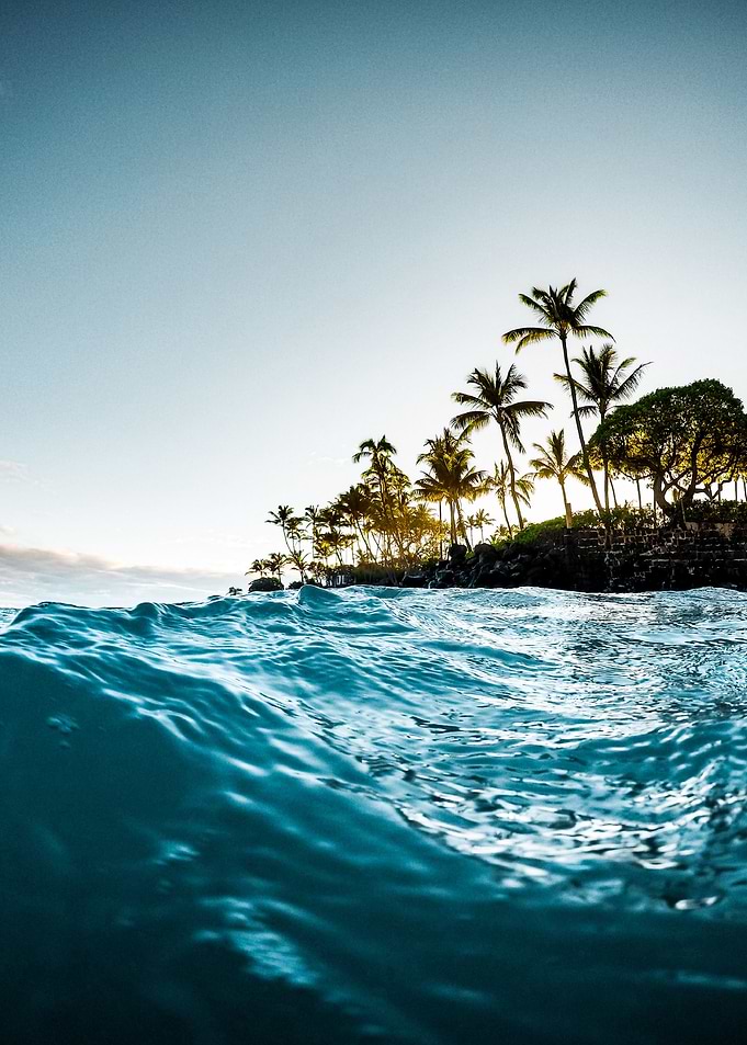 Surfing Paradise