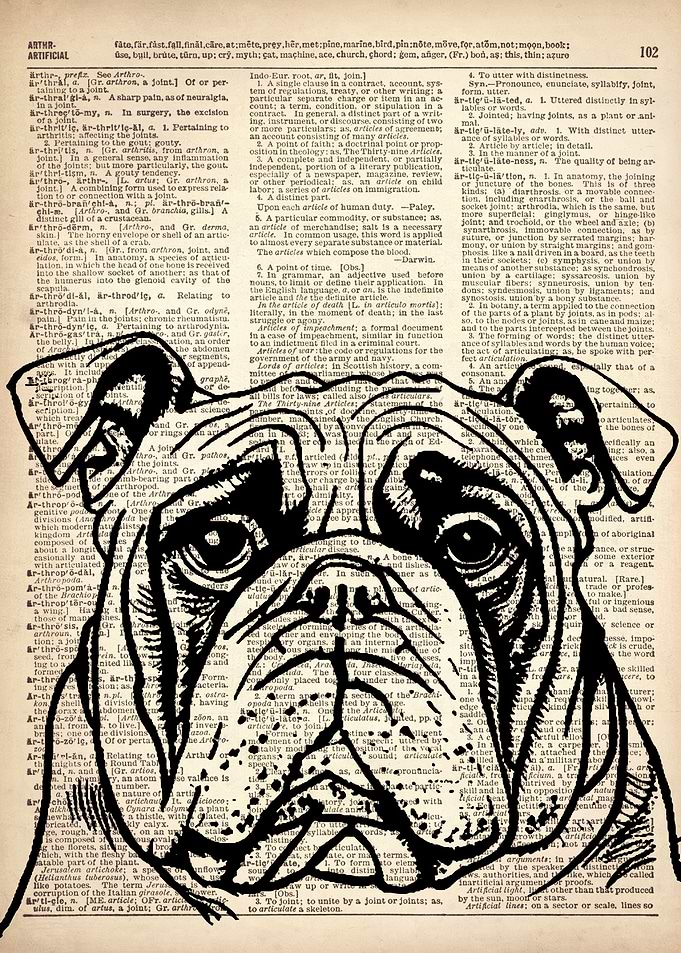 BULLDOG Dog ILLUSTRATION