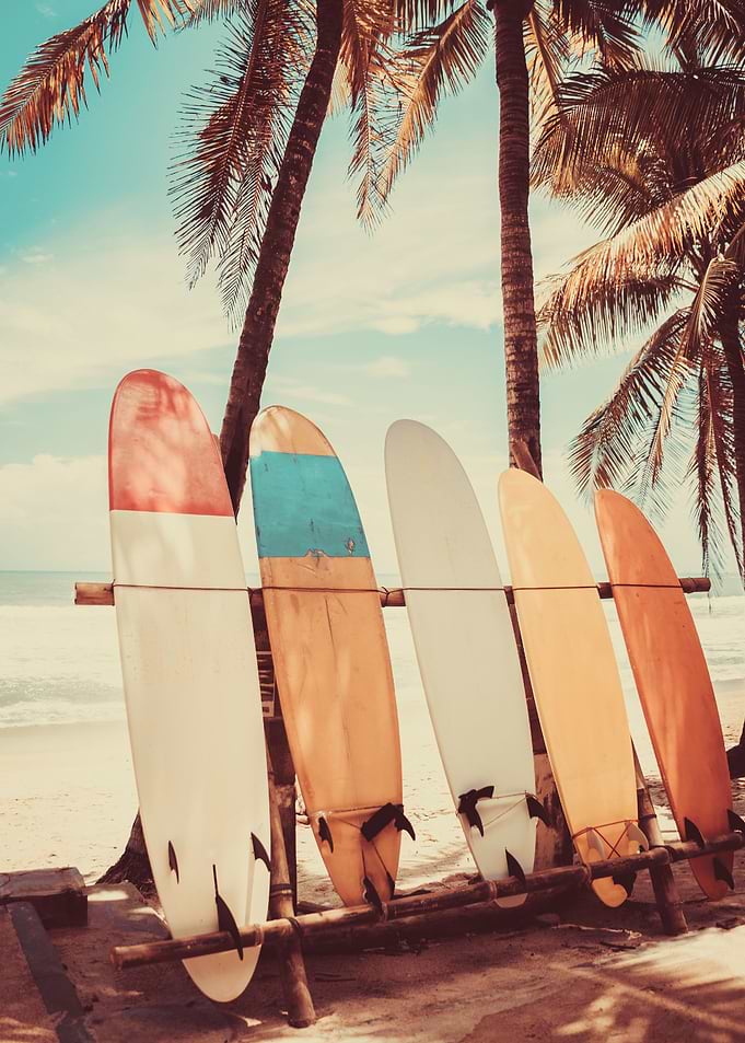 Surfing Paradise