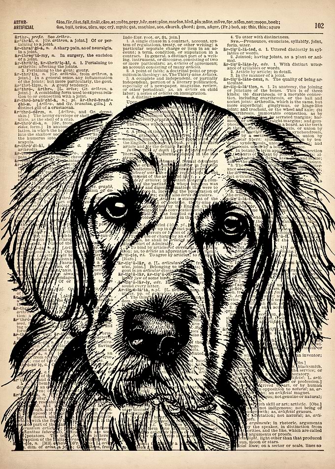 Golden Retriever Dog art