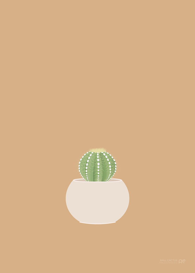 Ball Cactus Illustration