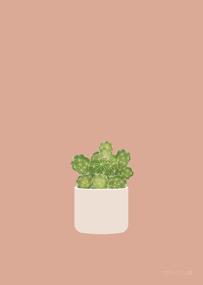 Thimble Cactus
