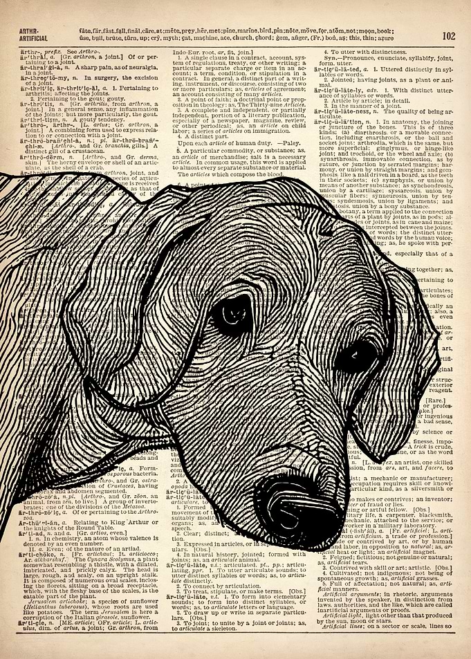 Retriever DOG ILLUSTRATION