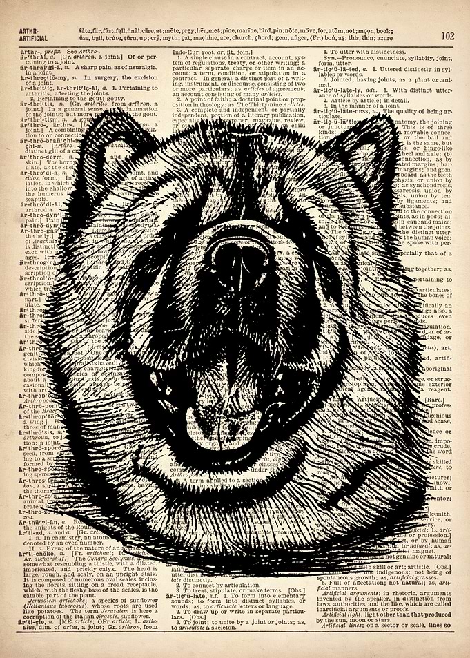 Chow Chow Dog ILLUSTRATION