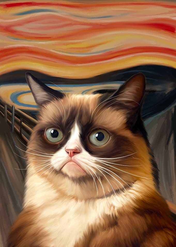 The cat Scream
