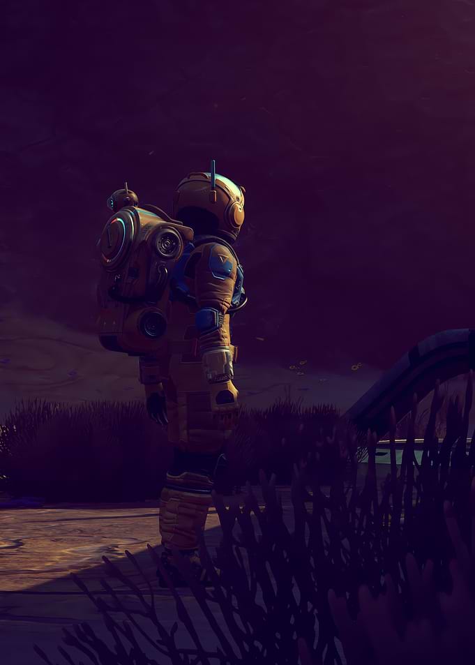 Astronaut Look At Planet