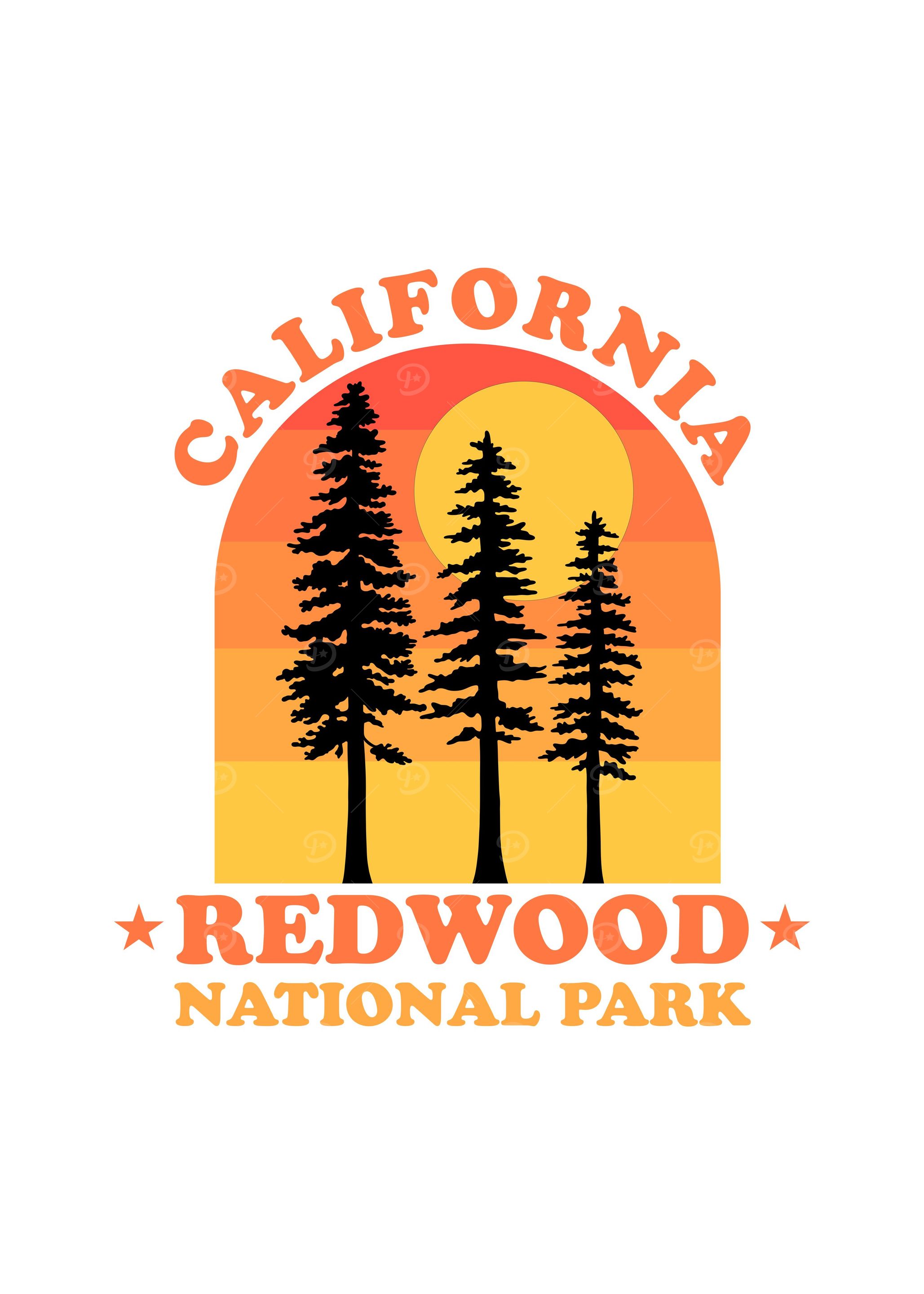 Redwood National Park