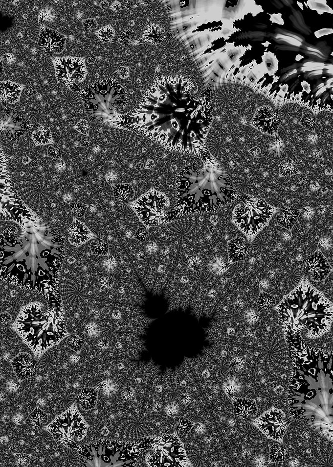 Psychedelic Grey Fractal