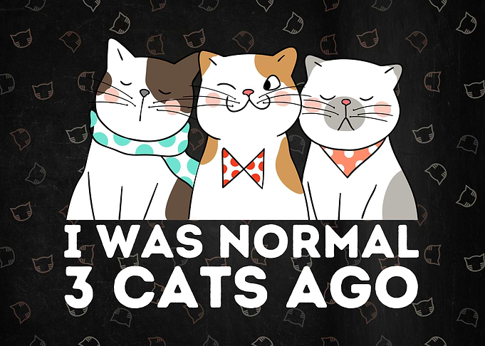 I Was Normal 3 Cats Ago