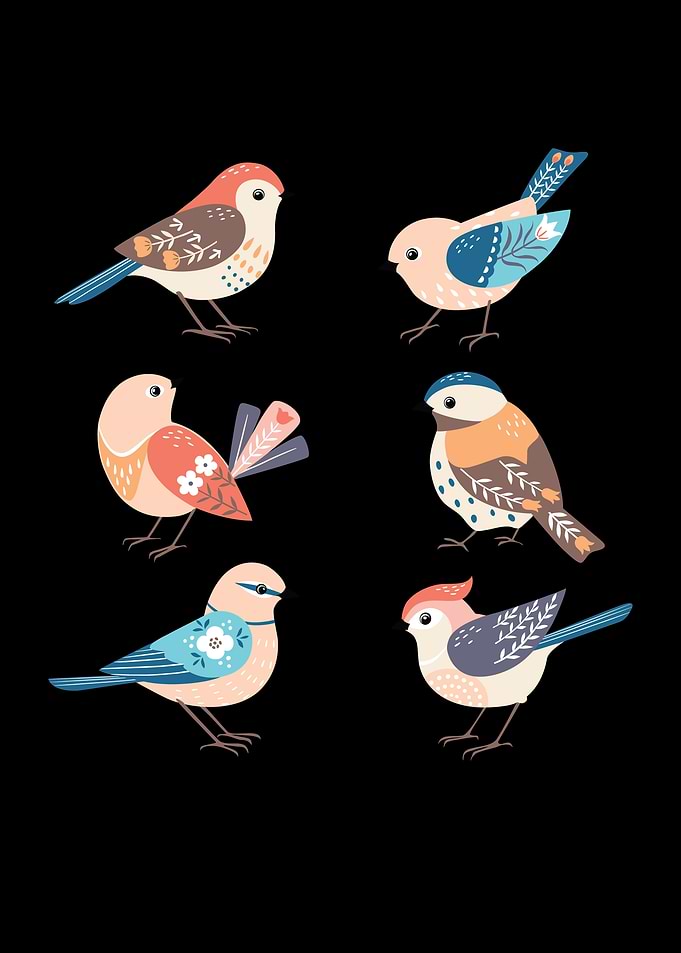 Cute Birds Birdie Bird
