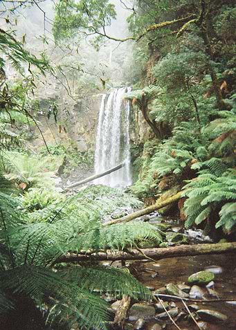 Latest drop