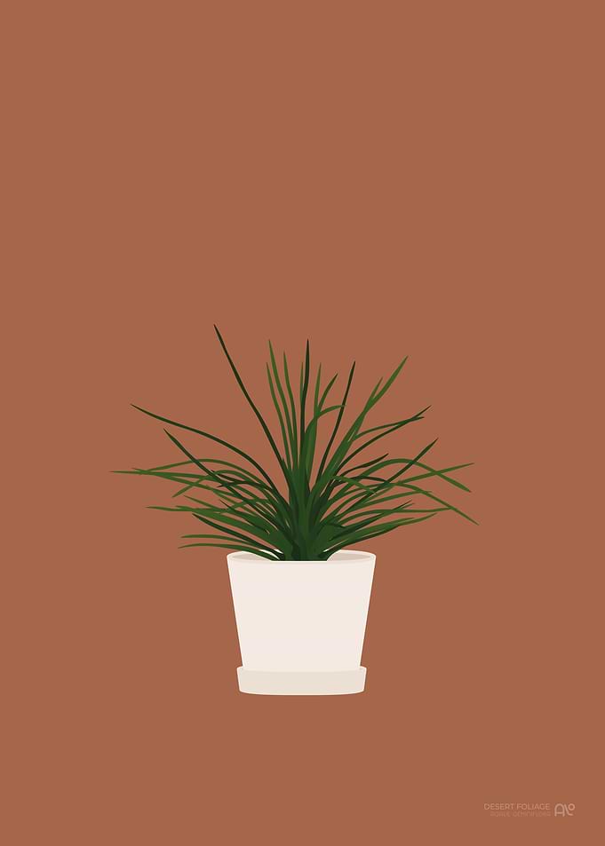 Desert Foliage Succulent