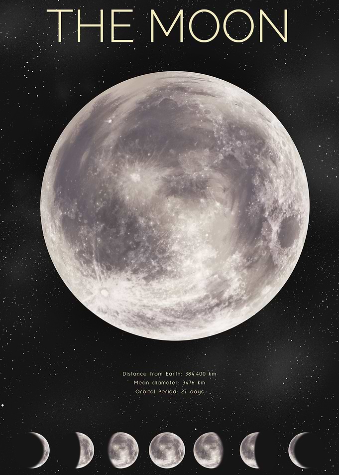 Lunar Cycle Moon Phases