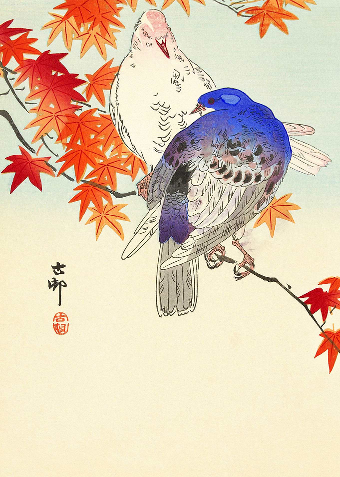 Two pigeons Autumn Branch