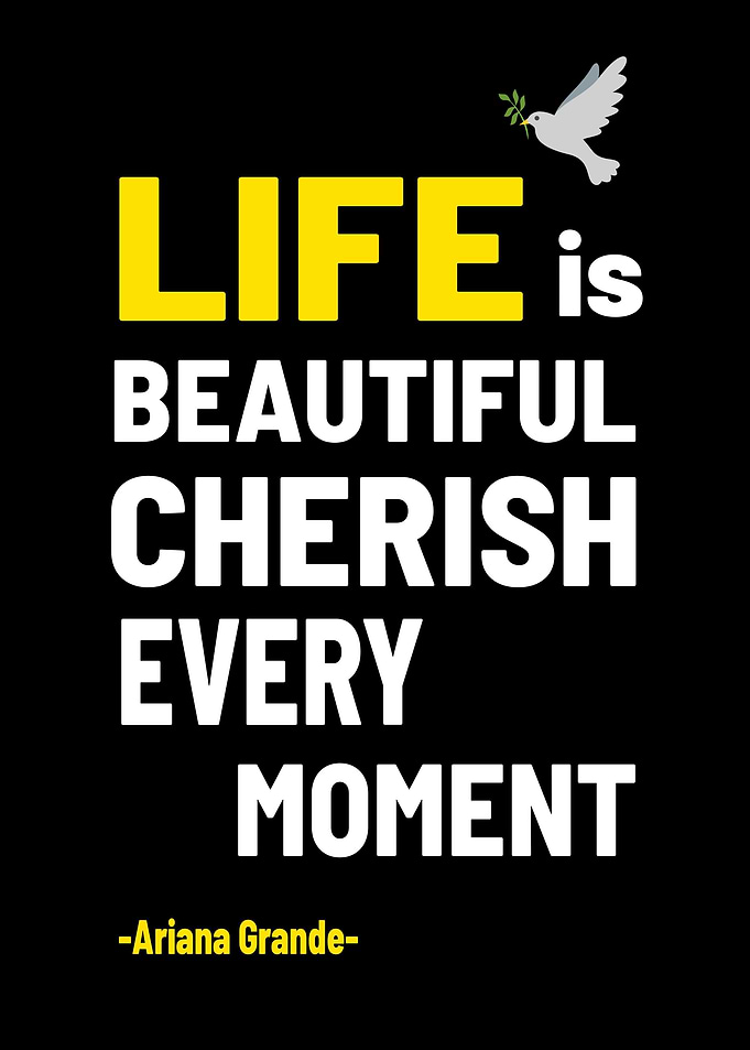 Famous Singer Quotes Life