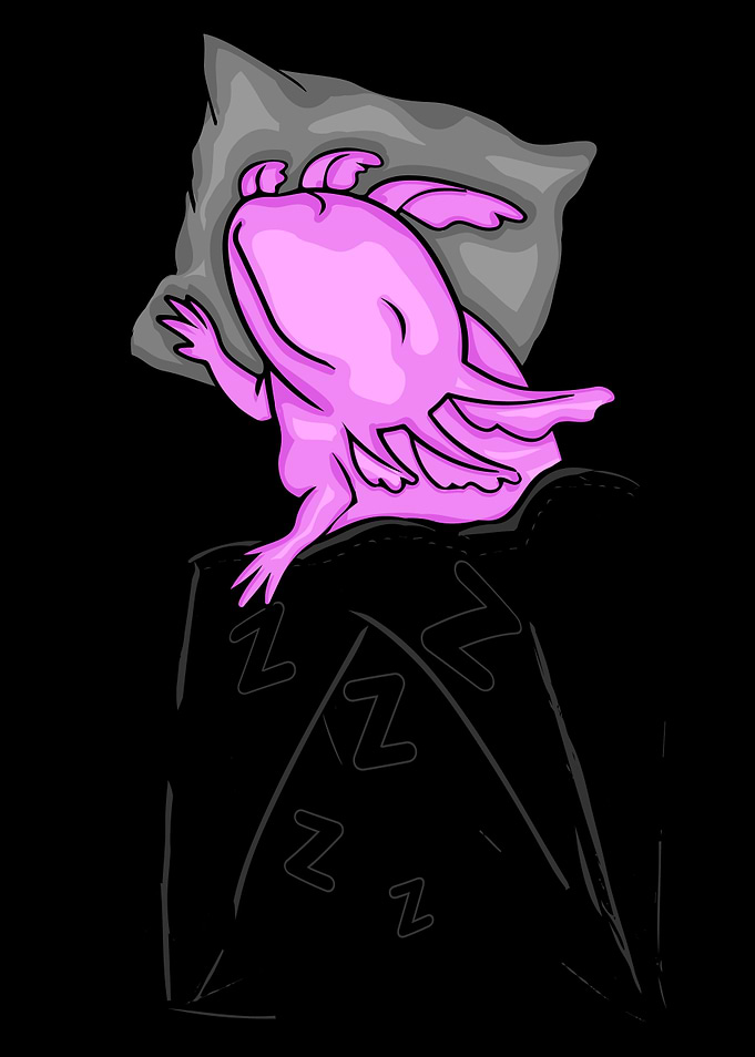 Cute Sleeping Axolotl Gift
