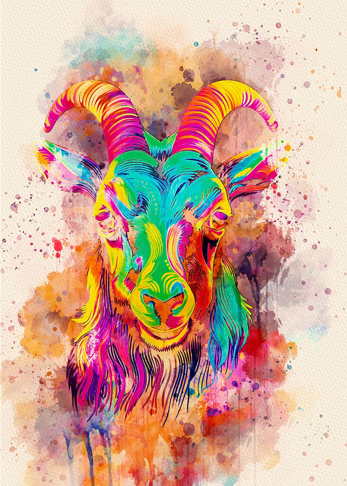 Goat colorful