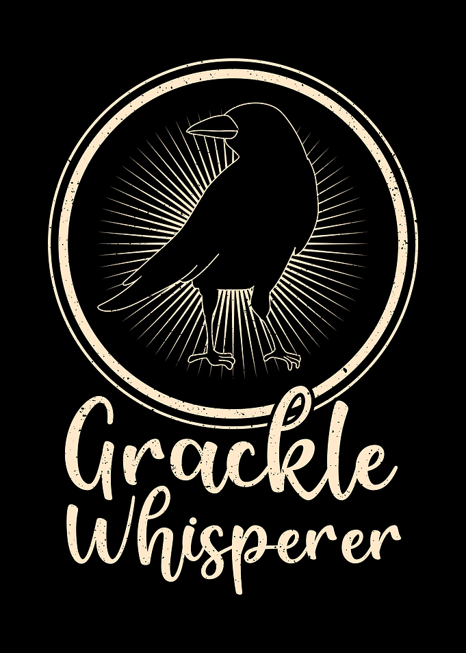 Blackbird Grackle Bird