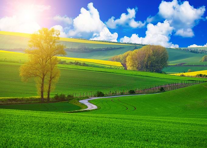 Natures