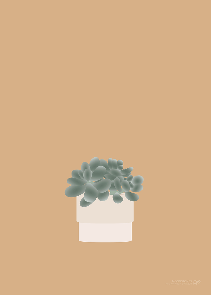 Moonstones Illustration