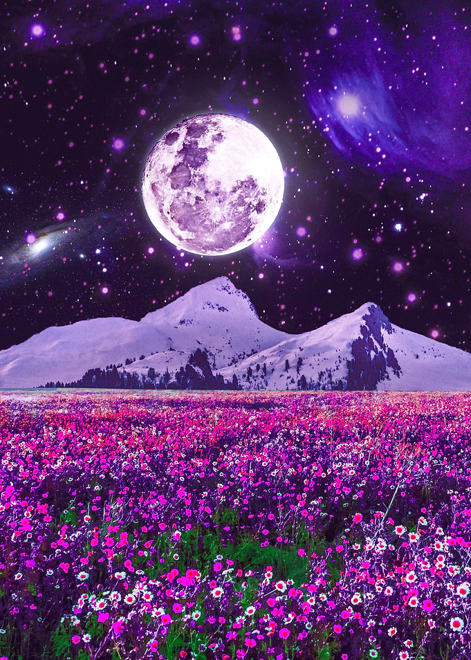 Moon Space Garden