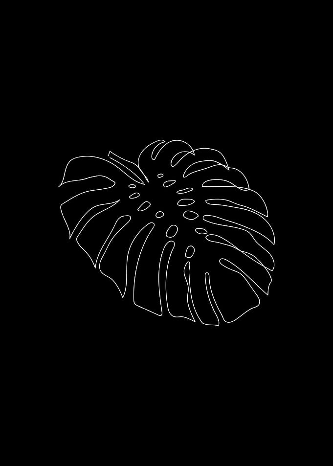 Monstera Single Line Art