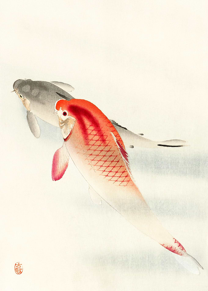 Two carp Ohara Koson Ukiyo
