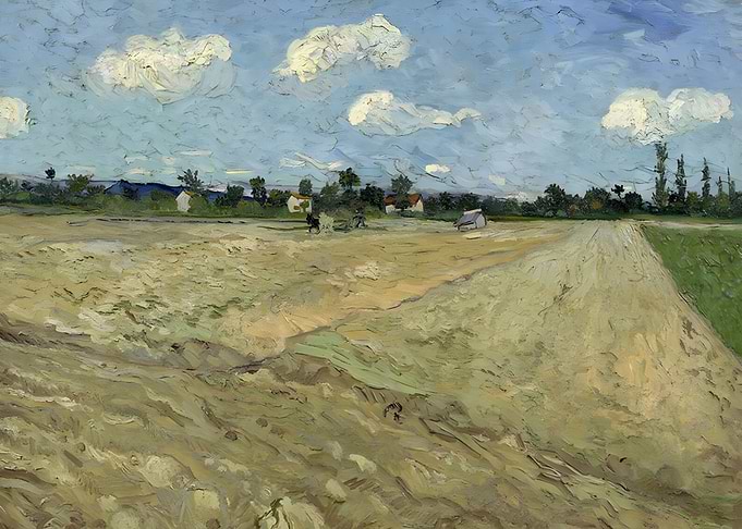 Ploughed Field