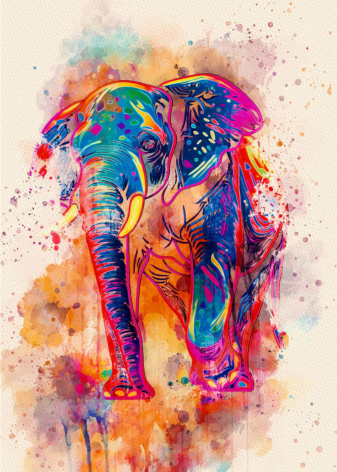 Elephant colorful