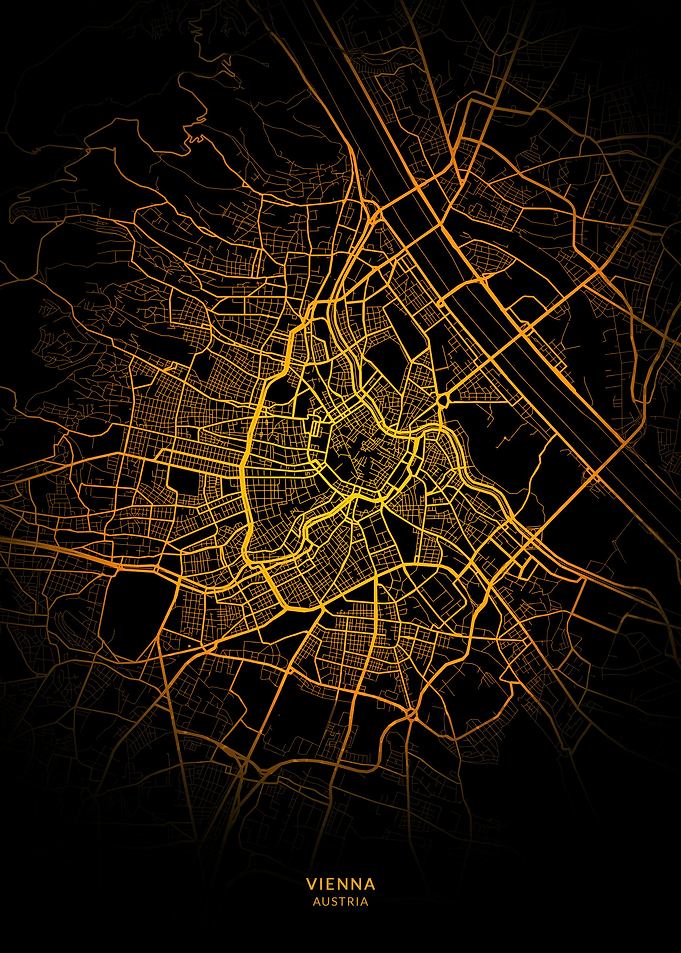 Vienna City Map Gold