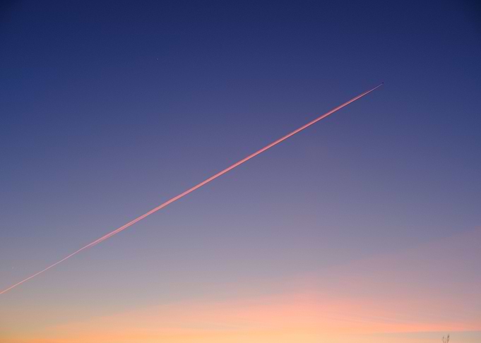 Fly away