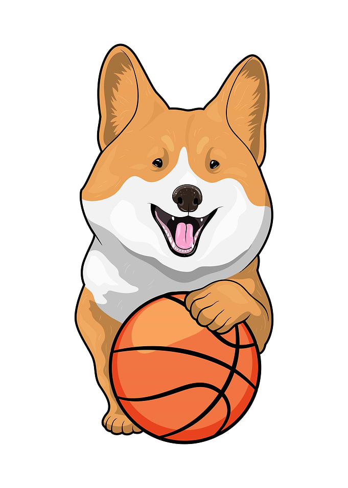 Corgi Basketball