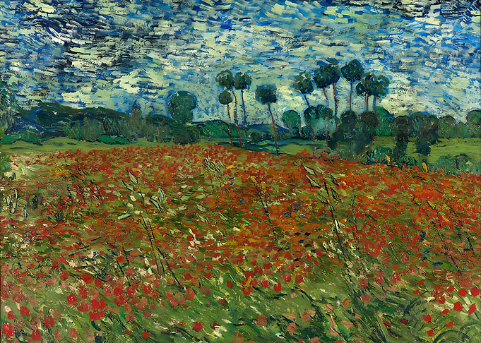 Poppy field June 1890
