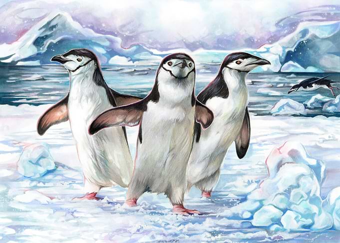 Penguins