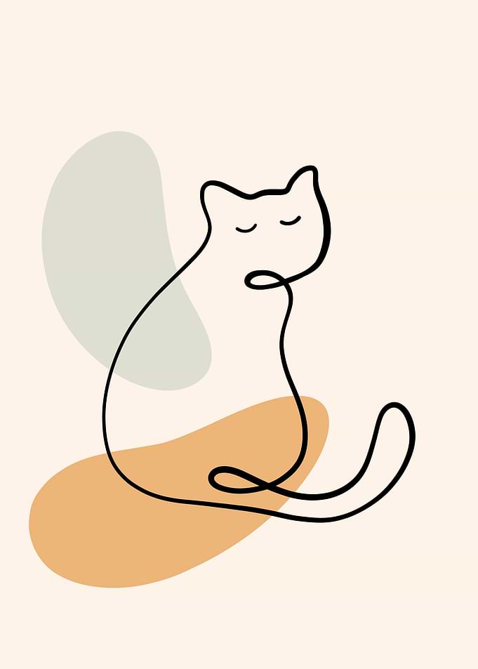 Cat art