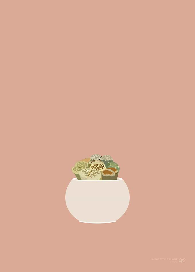 Stone Plant Illustration