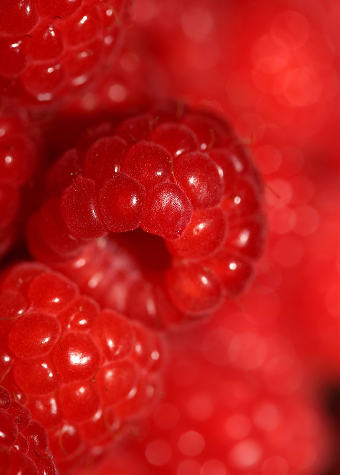 Fresh red berries close up
