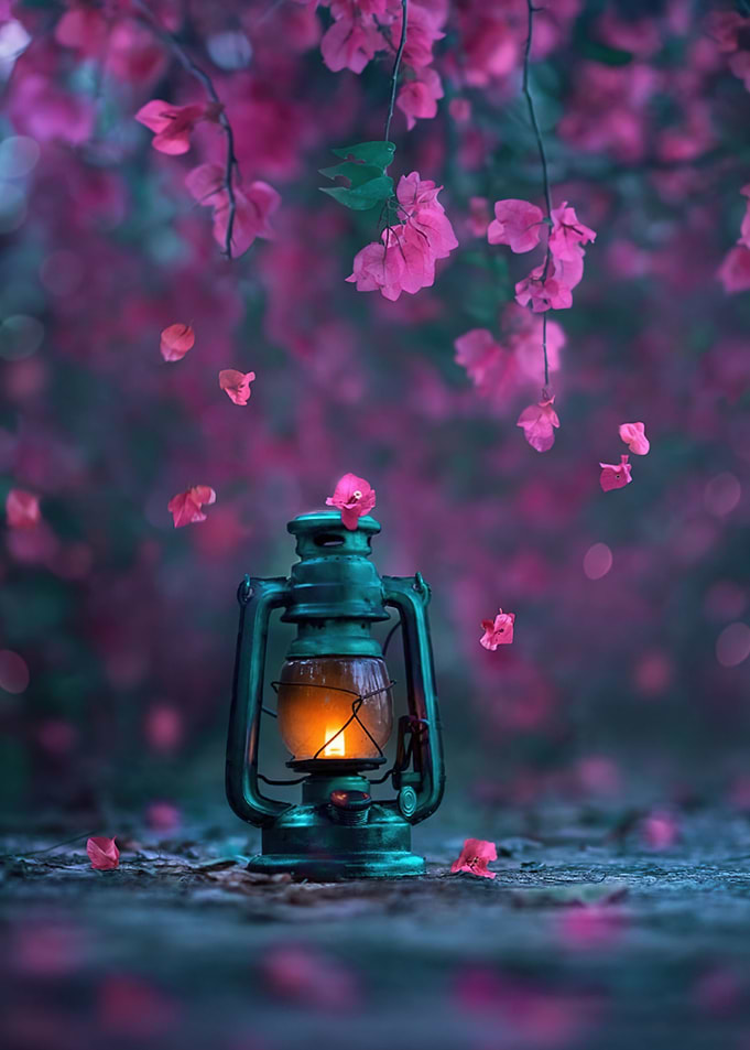 Lamp with Blossom Flowers