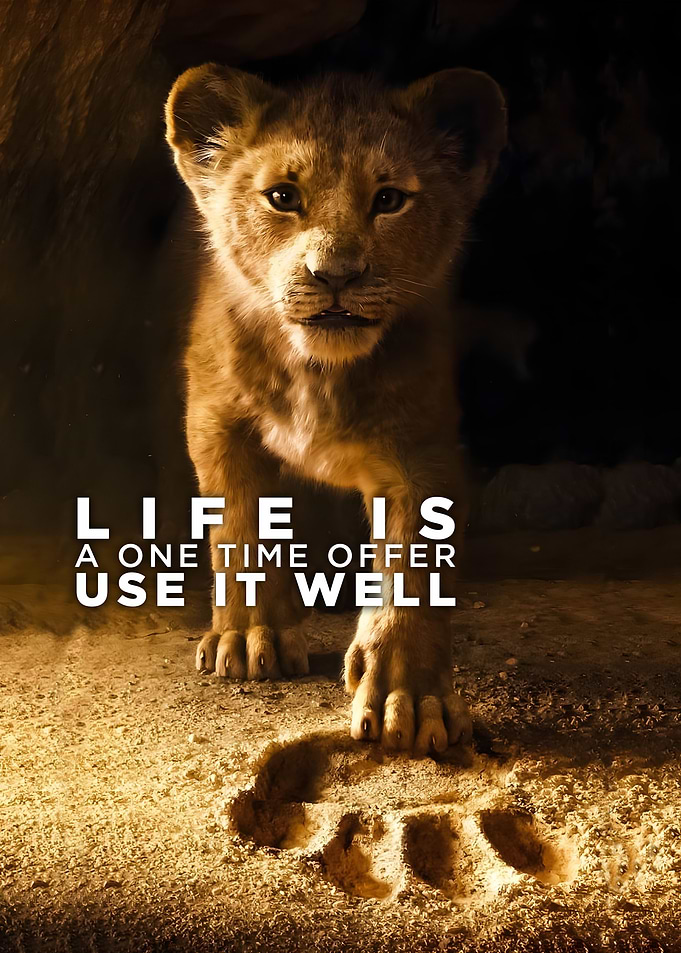 Baby Lion Motivational