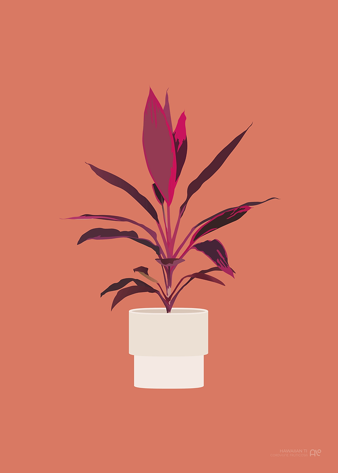 Hawaiian Ti Houseplant